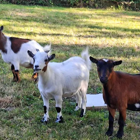 Le Manoir De Séverine * Pommereux
