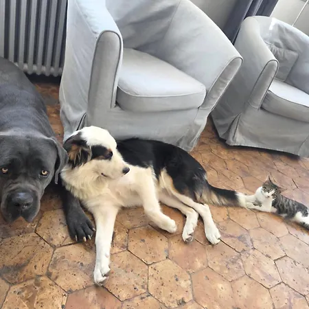 Hébergement de vacances Le Manoir De Séverine