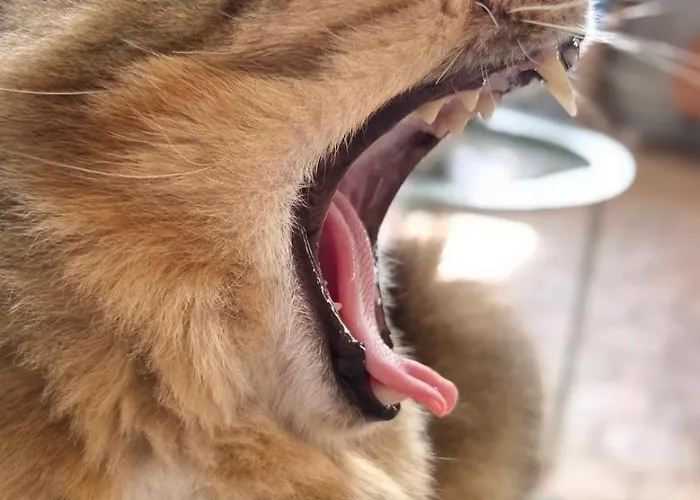 Holiday home Le Manoir De Severine