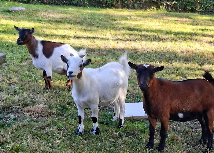 Le Manoir De Severine * Pommereux