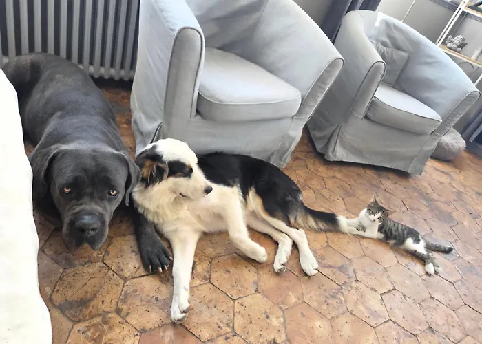 Holiday home Le Manoir De Severine