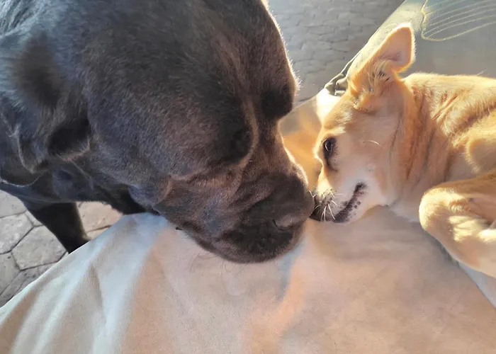 Le Manoir De Severine